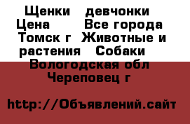 Щенки - девчонки › Цена ­ 2 - Все города, Томск г. Животные и растения » Собаки   . Вологодская обл.,Череповец г.